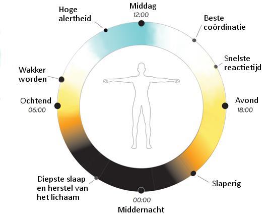 Hoe ziet een gezond circadiaans ritme eruit?