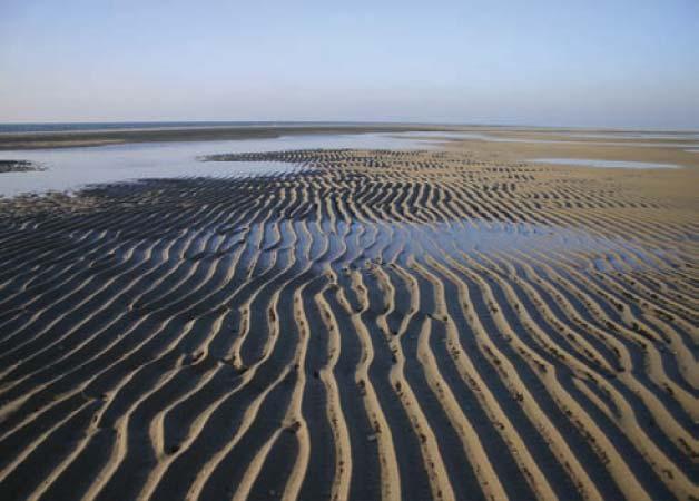 6.5 Planologie Het waddengebied kent een grote afwisseling tussen gebieden van ecologische en van economische waarde.