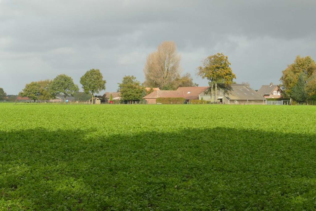 Aan het buurtschap Nijhoven is de lange