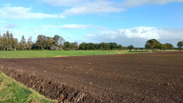 4.2 Ulicoten Kwaliteiten Ulicoten en omgeving is een fors gebied met kleinschalige kampontginningen: verspreide bebouwing met kleinere bouw- en graslanden, vaak omzoomd door beplantingen langs de