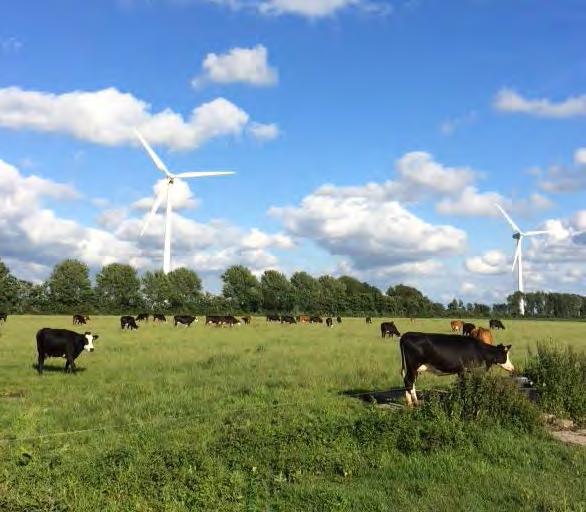 Expliciet is daarbij verwezen naar het Omgevingsplan Flevoland, de Verordening voor de fysieke leefomgeving Flevoland 2012 (opnemen van de nieuwe EHSbegrenzing) en de Verordening groenblauwe zone.