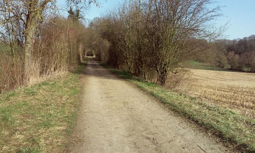 Trace TFR gaat door beschermde Zilvergroene gebieden Taak gemeente is juist