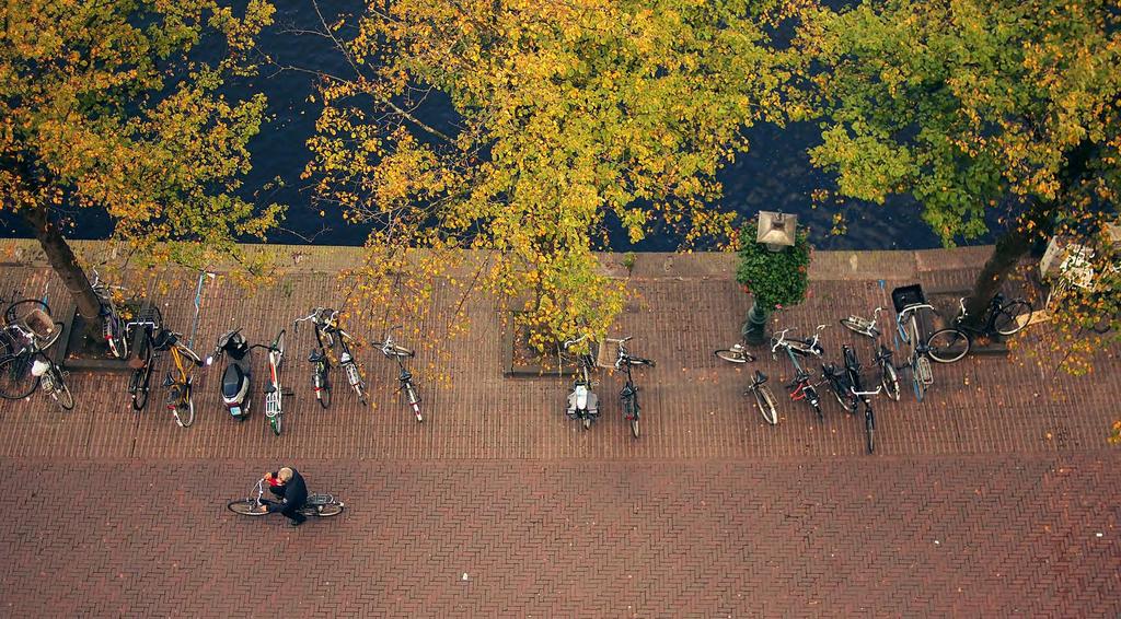 Vegetatie straatbomen schaduw effect: reduceert straling op oppervlak tot 50%