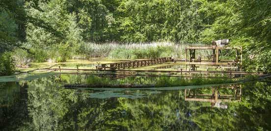 Wereldse Waterwerken Deltawerk// In het historische openluchtlaboratorium Waterloopbos heeft Nederland zich dankzij honderden onderzoeken ontwikkeld tot expert op het gebied van waterwerken.