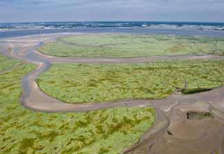 Opgave 1: herstel bestaande natuur De minister van LNV heeft voor Nederland 162 Natura 2000 gebieden aangewezen, waarvan ruim tweederde uit water bestaat.