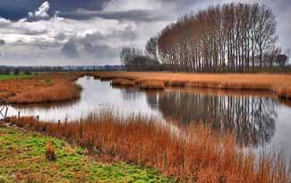 Opgave 2: ontwikkeling nieuwe natuur De Zeeuwse Ecologische Hoofdstructuur (EHS) omvat bestaande natuurkerngebieden (waaronder Natura 2000), nog te realiseren natuurontwikkelingsgebieden en