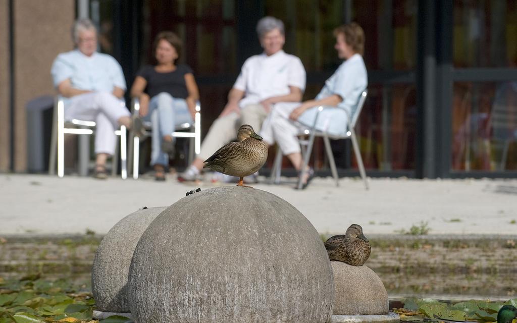 Wij beseffen dat vergroten van de zorg voor het milieu alleen te verwezenlijken is, wanneer de eigen medewerkers en de organisatie zich hier voor actief inzetten.