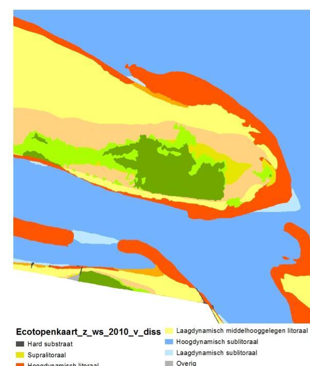 Figuur 7 Drie ecotopenkaarten van de oostzijde van Hooge Platen waar zichtbaar is dat van 2004 naar 2008 het areaal pionierschor is toegenomen, gevolgd door een toename van het areaal schor van 2008