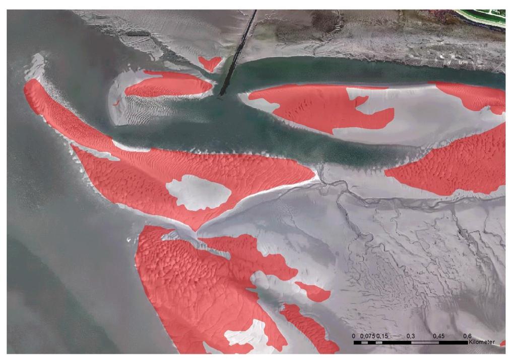 Figuur 27 Omgeving van de Plaat van Valkenisse en de overgang naar de Zimmermangeul, met in rood de gebieden met megaribbels in de geomorfologische kaart van 2011 (ondergrond luchtfoto Geoloket