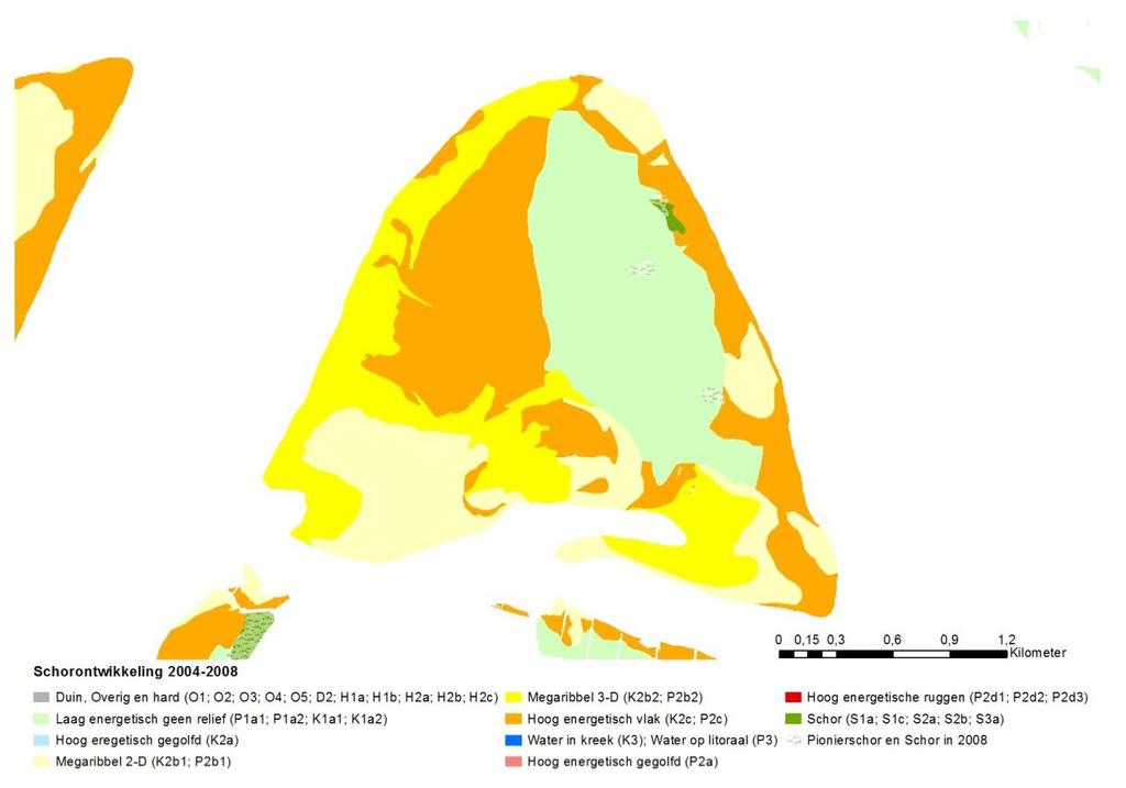 Figuur 35 Geomorfologische kaart uit 2004 met daarover het areaal schor en