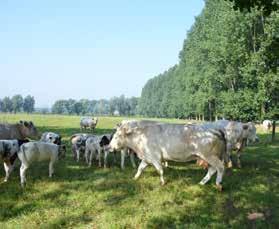 de zone voor herverkaveling en de zone voor behoud en versterking van landschaps- en natuurwaarden.