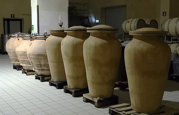 Vinificatie De Sagrantino wordt vergist in verticale houten vaten van 500 liter met een