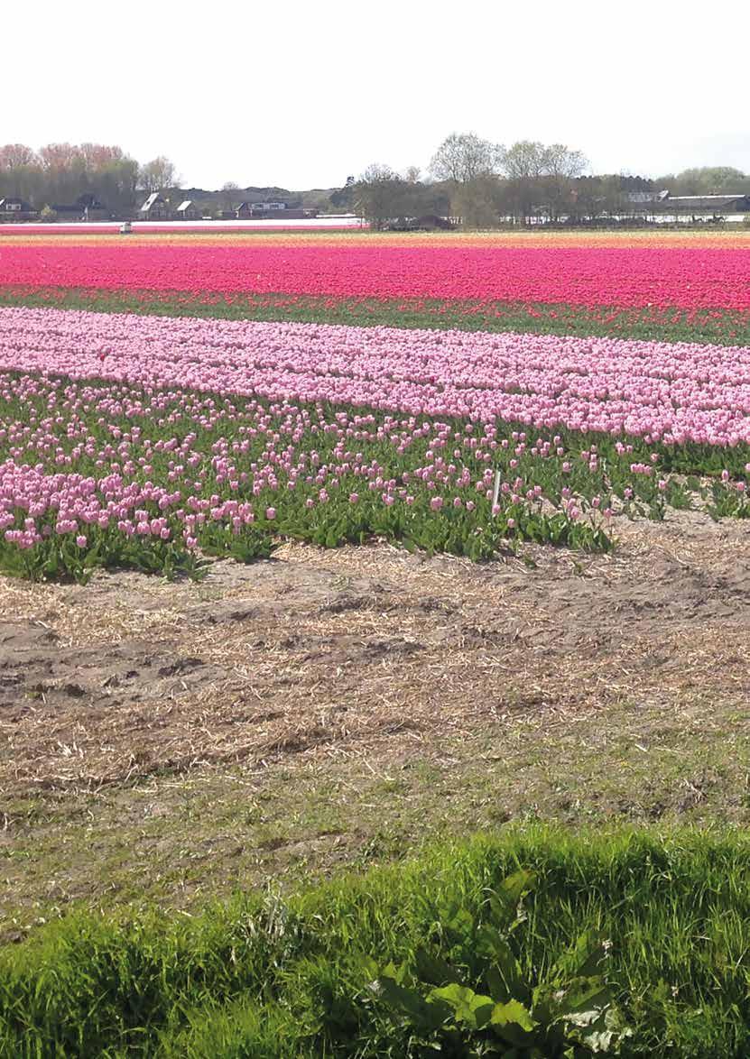 We hebben dus een visie, en nu? We hebben nu dus een visie voor ons dorp. Daar hebben we met elkaar hard aan gewerkt. Maar een visie is nog maar een begin.