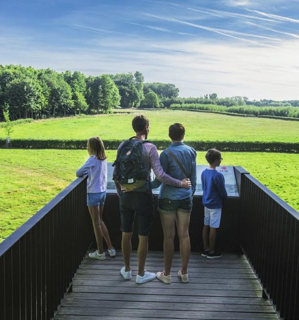 beleef de Palingbeek en bossen in de buurt activiteitenkalender januari -