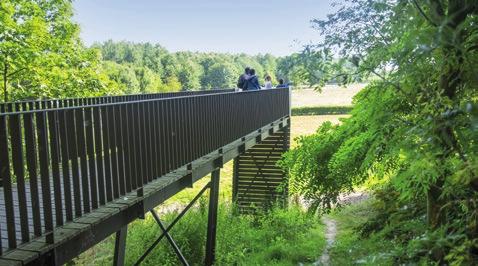 Brieven met verhalen van het front en doe-opdrachten vormen de rode draad.