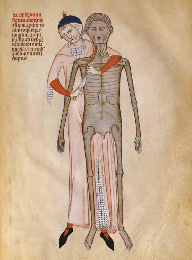 Autopsie, miniatuur uit het Liber Notabilium (1345) van Guido da Vigevano (1280-1350) DEA Picture Library taal onderzoek een grote bijdrage kan leveren aan het onderzoek naar de doodsoorzaak en de