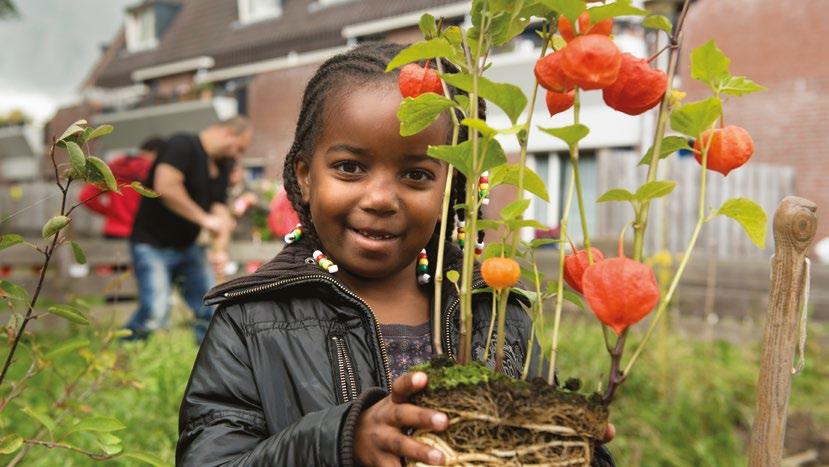 Programma s en campagnes Groeiprogramma (editie III) Groen Verbindt JAARVERSLAG 2015 22 Doelstelling Resultaten 2015 Sociale pioniers ondersteunen bij de groei van hun initiatieven.