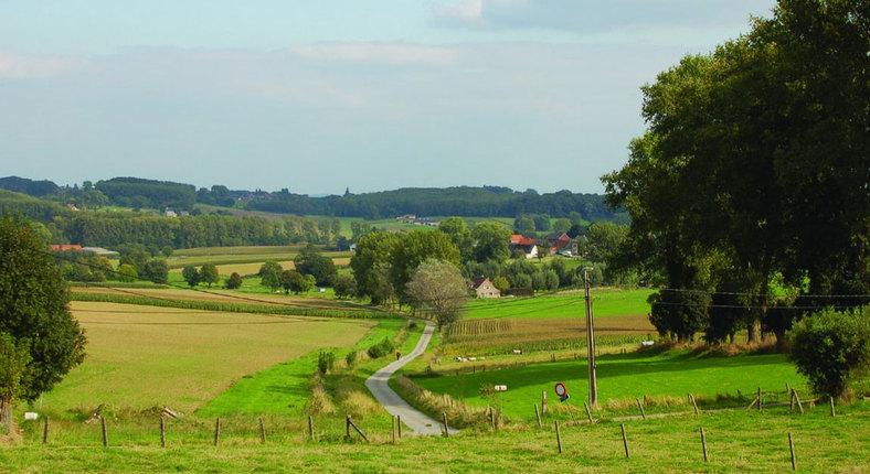 Platteland versus stad (ver)bouwende Belg is plattelandsmens Ondanks initiatieven om mensen te overtuigen om in de stad te gaan wonen, blijft de Belg verknocht aan het platteland