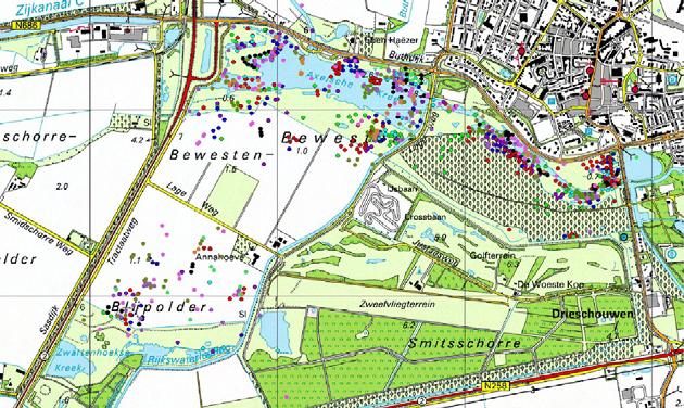 Grauwe Ganzen Axelse Kreek 2008 3. Discussie 3.1. Aantallen In 2008 en 2009 zijn rond de Axelse Kreek in de maanden april t/m juni geringere aantallen ganzen waargenomen dan in 2007.