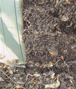 Observeer de verschillende lagen. Bemerk hoe het krioelt van wormen en andere organismen in de laag halfverteerde compost.