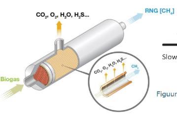 organische fysieke wassing. cryogene distillatie. Liquefactie.