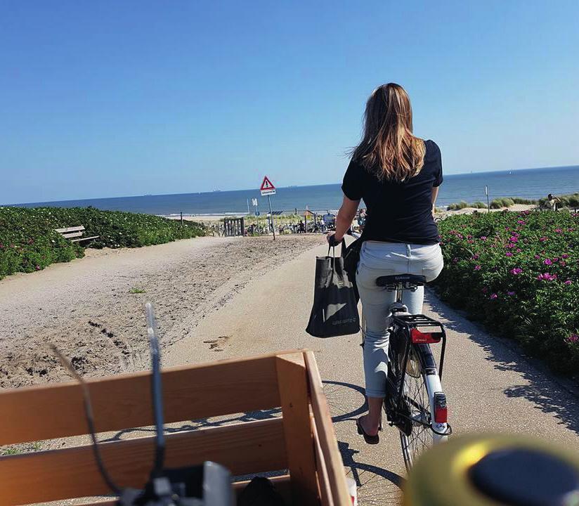 Fietsactieplan - D66 Den Haag Liefde voor de fiets D66 krijgt