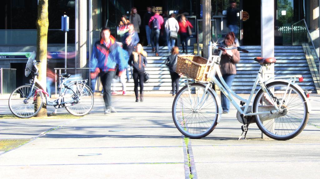 Fietsburgemeester 3 D66 stelt voor om een fietsburgemeester aan te stellen die ervoor moet zorgen dat Den Haag klassementsleider wordt van de grote steden.