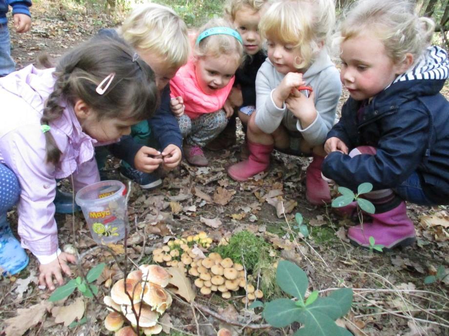 De juffen waren natuurlijk altijd in de buurt om de waaghalzen tot de orde te roepen. Op herfstwandeling naar het Joekelbos De 2,5- en 3-jarige kleuters gingen op zoek naar herfstschatten.