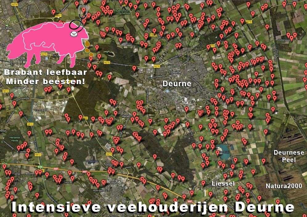 Verleende vergunningen Het gemeentebestuur van Deurne heeft in november 2013 de volgende milieuvergunningen verleend: - Bandert 14 640 vleeskalveren en 1.