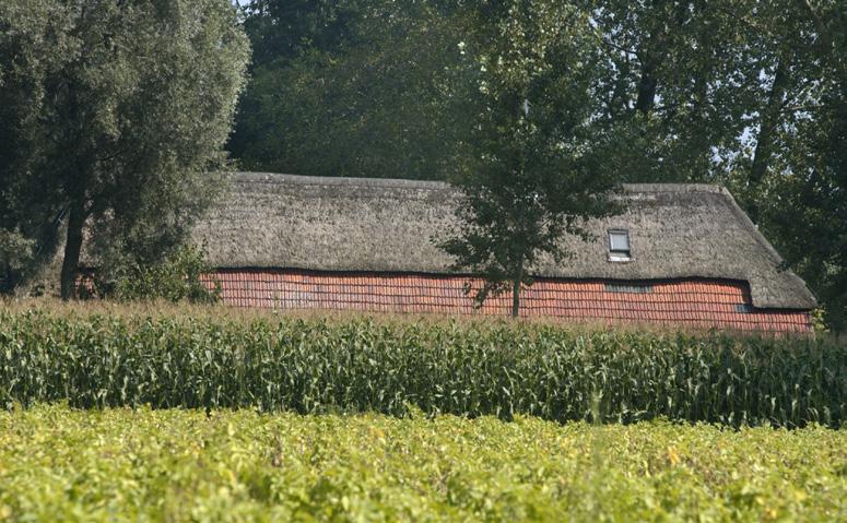 Provinciaal cultuurhistorisch belang Cultuurhistorische vlakken Wat zijn de essentiële waarden die de provincie wil beschermen? Op de CHW staan circa 230 cultuurhistorische vlakken.