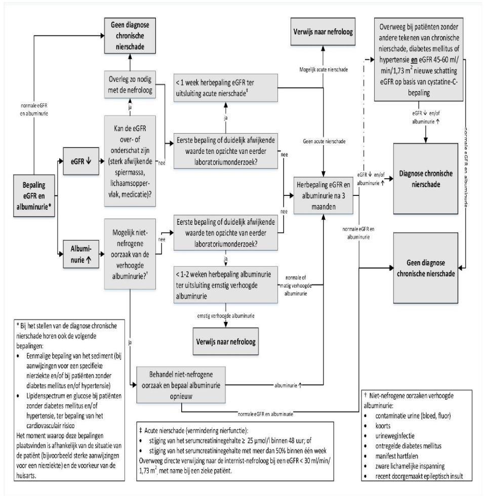 Chronische nierschade Diagnostiek bij chronische nierschade.