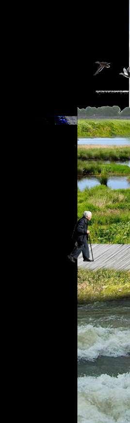 Te behouden en te versterken gebiedskwaliteit Door de Maaswerken en het Grensmaasproject heeft de wijd meanderende Maas weer iets teruggekregen van haar oorspronkelijke karakter als natuurlijke