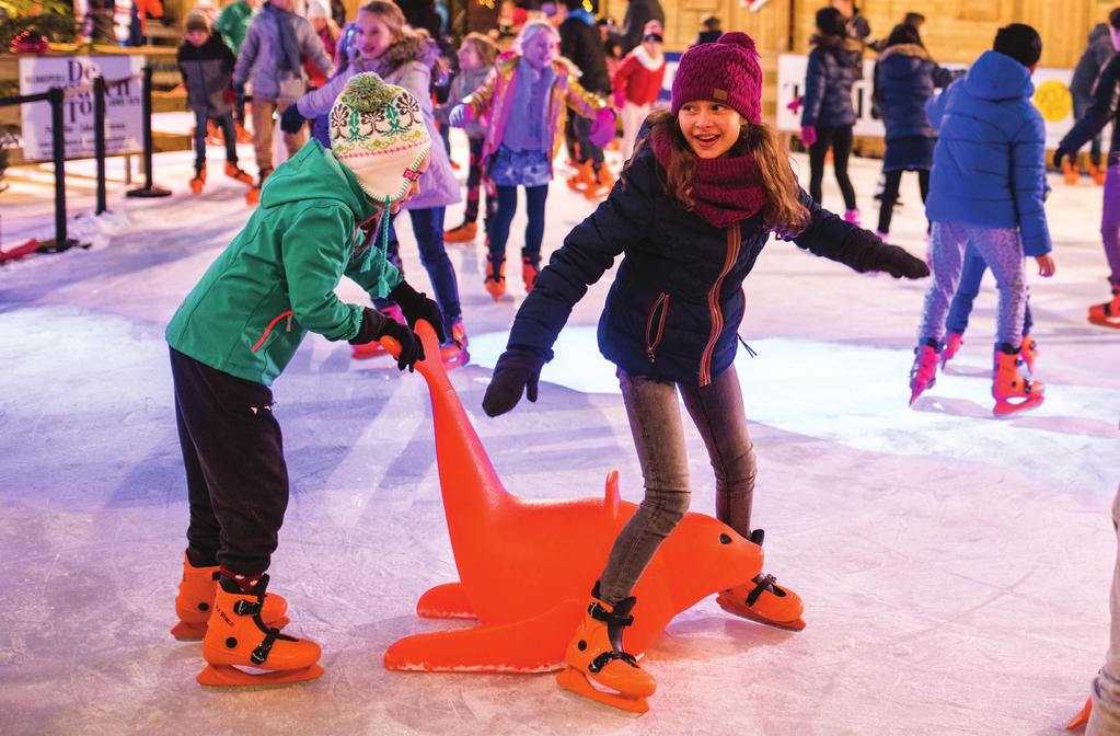 Samen sterk Samenwerken voor het optimale resultaat Winter Village Nederland is verantwoordelijk voor de realisatie, het onderhoud en het beheer van alle ijsbanen.