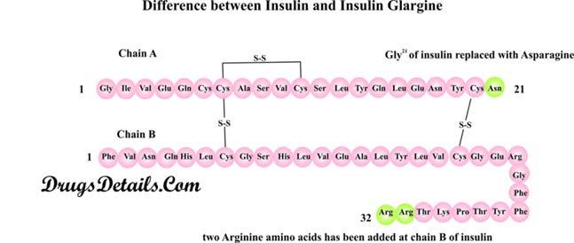 Insuline (pmol/l) Insuline wordt gemeten bij Diabetes Mellitus voor het vaststellen van een insuline resistentie en bij verdenking op een insulinoom, diagnostiek van onverklaarde hypoglykemieen.