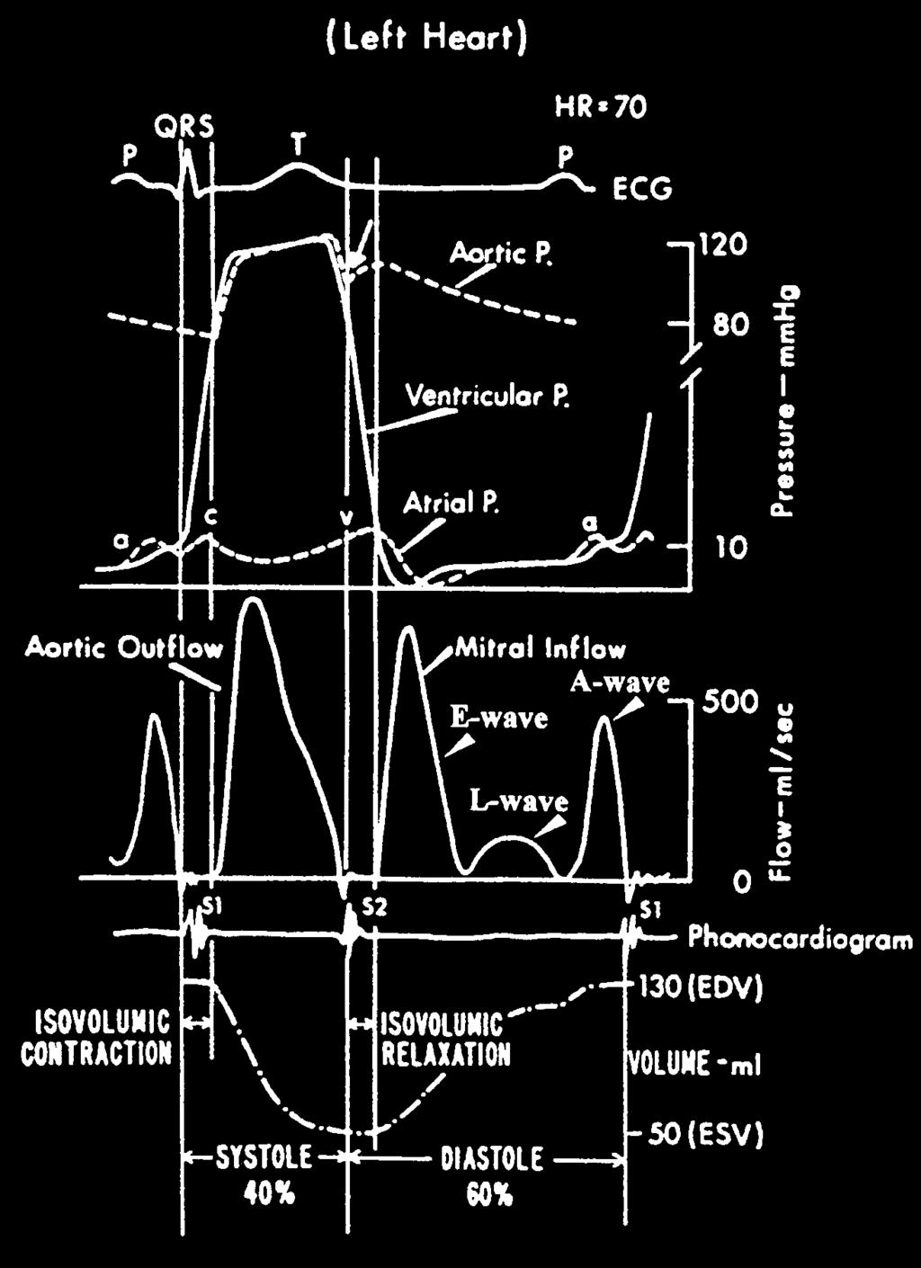 NEDERLANDSTALIGE SYNTHESE Figuur 3: Druk-, snelheids- en volumeverloop gedurende een hartcyclus zoals geschetst door Yellin et al.