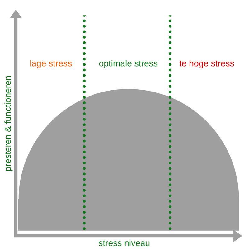 HOOGGEVOELIGHEID (H)ERKENNEN Diepgaande verwerking van prikkels; stress Een individu zal het beste presteren, (.), als zijn of haar zenuwstelsel gematigd alert en geprikkeld is.