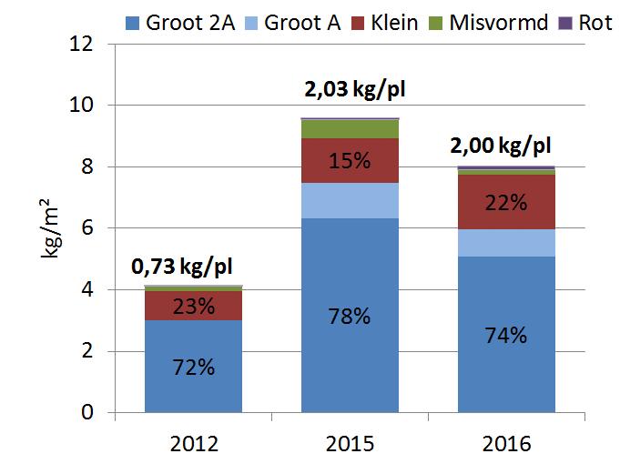 glans + Frisse kelk + Zeer productie + Goede sortering - Drukplekgevoelig - Neutrale