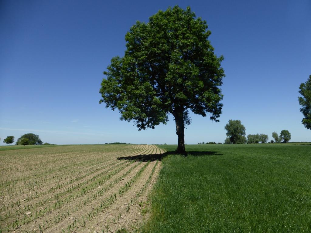 BESTENDIGEN TYPISCHE LANDSCHAP VAN VOEREN VIA BELEIDSINSTRUMENTARIUM Dieter Mortelmans & Francis