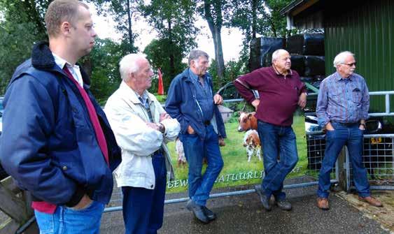 mijn vader is na het stoppen met melken begonnen met verbeterd roodbonten, die kwamen bij van Abeelen vandaan. Dit is alweer zo n 30 jaar geleden. Zo ben ik er ook in gerold.