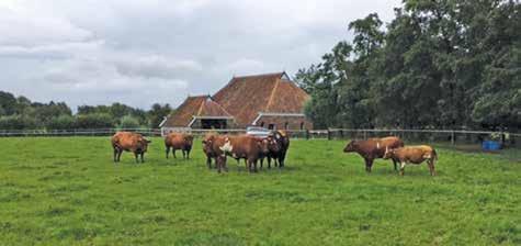in 2010 in Zijldijk (Groningen) op een woonboerderij met 2 hectare land gaan wonen.