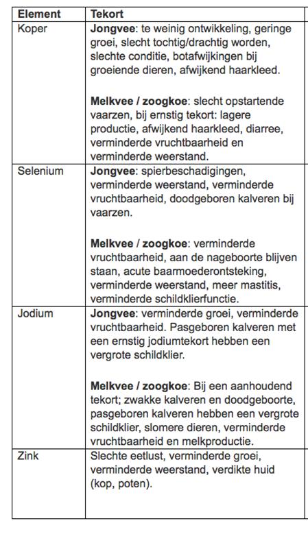 Wordt er veel mais gevoerd en weinig eiwit aangevuld dan kan de Ca:P verhouding te ruim worden en een gestoorde verkalking van het skelet optreden. Gewenst is 1,6-1,7 bij jongvee.