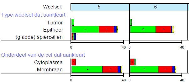 De resultaten van uw eigen beoordeling van de door u uitgevoerde kleuringen (aan de hand van vragen in Qbase) E-Cadherine 1 =