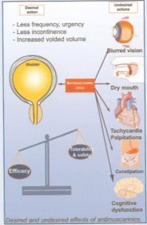 Dia 38 Huisarts DIPPERS Delier Infectie Pharmaca Pain Excessive drinking Reduced mobility Stool Medicatie? Oxybutinine, Vesicare, Toviaz, Emselex, Betmiga, Doorverwijzing zinvol? Figuur uit Abrams, P.