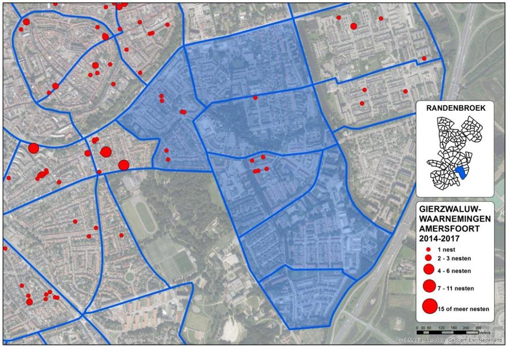 5.9 Randenbroek In Randenbroek zijn twaalf broedgevallen gevonden. De nesten zijn onder andere aangetroffen onder dakpannen van panden aan de Beethovenweg, Heiligerbergerweg en Randenbroekerweg.