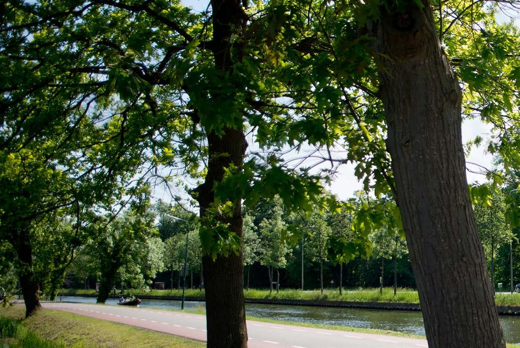 MASTERCLASS TOEZICHT, EFFECTMETING EN COMMUNICATIE NYENRODE TOEZICHT ACADEMIE De ontwikkeling en uitvoering van het programma ligt bij de Nyenrode Toezicht Academie.