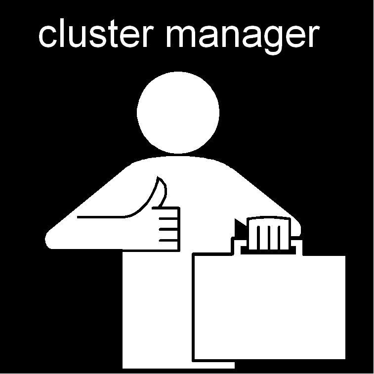 De raad geeft een advies aan de clustermanager.