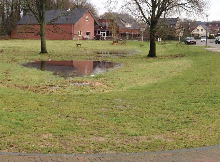 Voorzieningen voor hemelwater Wadi s hebben naast waterberging meestal nog andere functies, zoals ecologie, spelen, afschermend groen of zichtgroen.