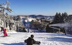 Het skigebied staat bekend onder de naam Skiliftkarussell Winterberg. De Skiliftkarussell bestaat uit 27,5 kilometer pistes, verdeeld over 34 afdalingen van 7 verschillende bergen.