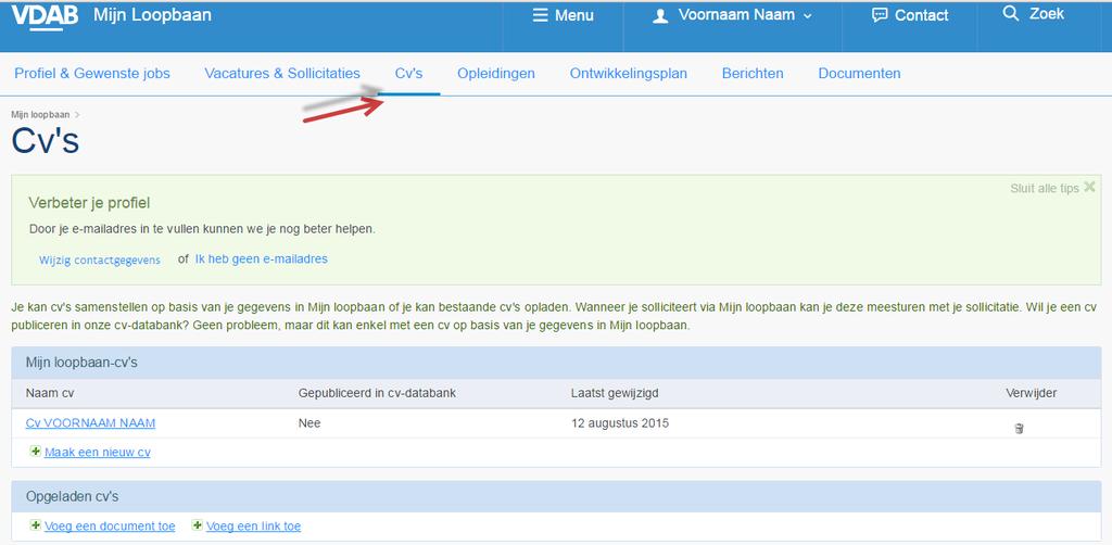 BIJLAGE 1 Je kan meerdere Cv s aanmaken en tevens documenten