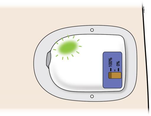 Tijdens deze periode zal het groene statuslampje op de on-body -injector snel knipperen. Verwijder de on-body -injector niet voordat de dosistoediening helemaal klaar is.